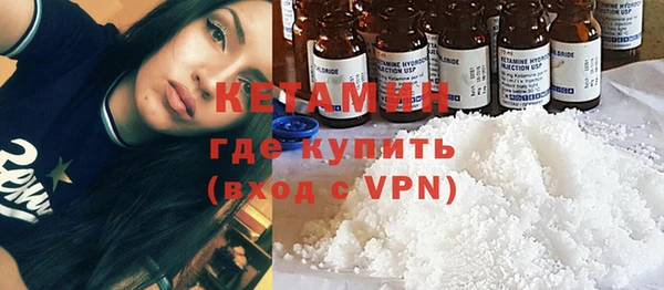 шишки Няндома