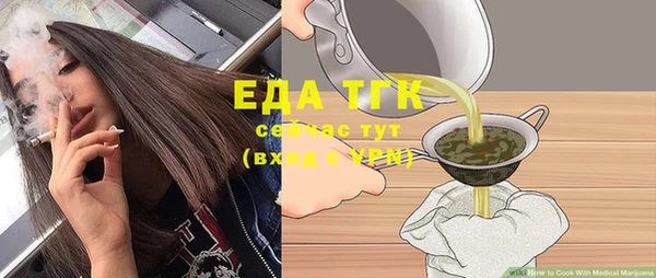 шишки Няндома