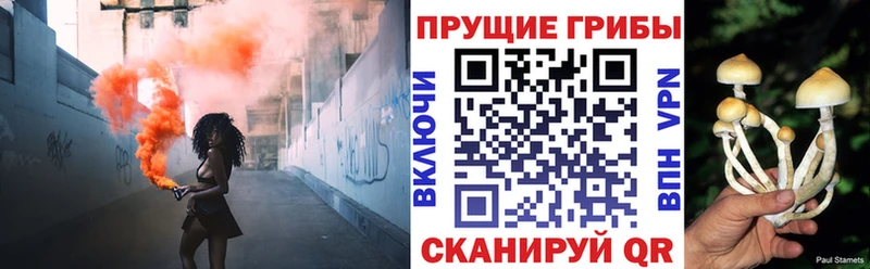 Псилоцибиновые грибы Psilocybine cubensis  Благодарный 